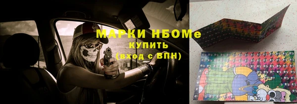 амф Верхний Тагил