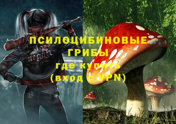 эйфоретик Верея